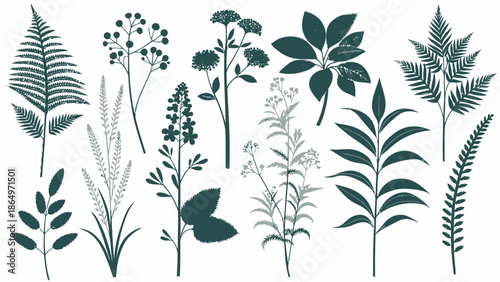 Dark green and light gray botanical illustrations of various plants and flowers