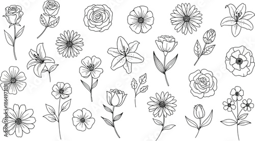 Black and white illustration of various flowers and leaves on a page