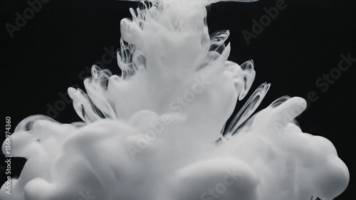 White ink swirling in water against a black background.