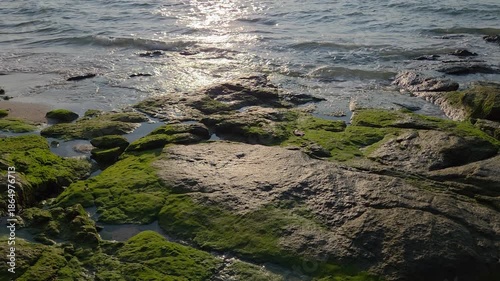 A high-angle shot of ocean waves gently washing over moss-covered coastal rocks during a golden sunset.