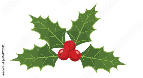 Traditional Christmas holly branch with glossy green spiked leaves and three bright red berries on a white background for holidays.