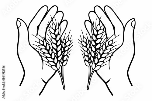 Hand drawn wheat ears