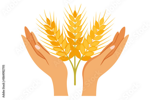 wheat ears vector