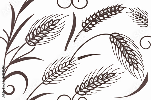 wheat ears vector illustration