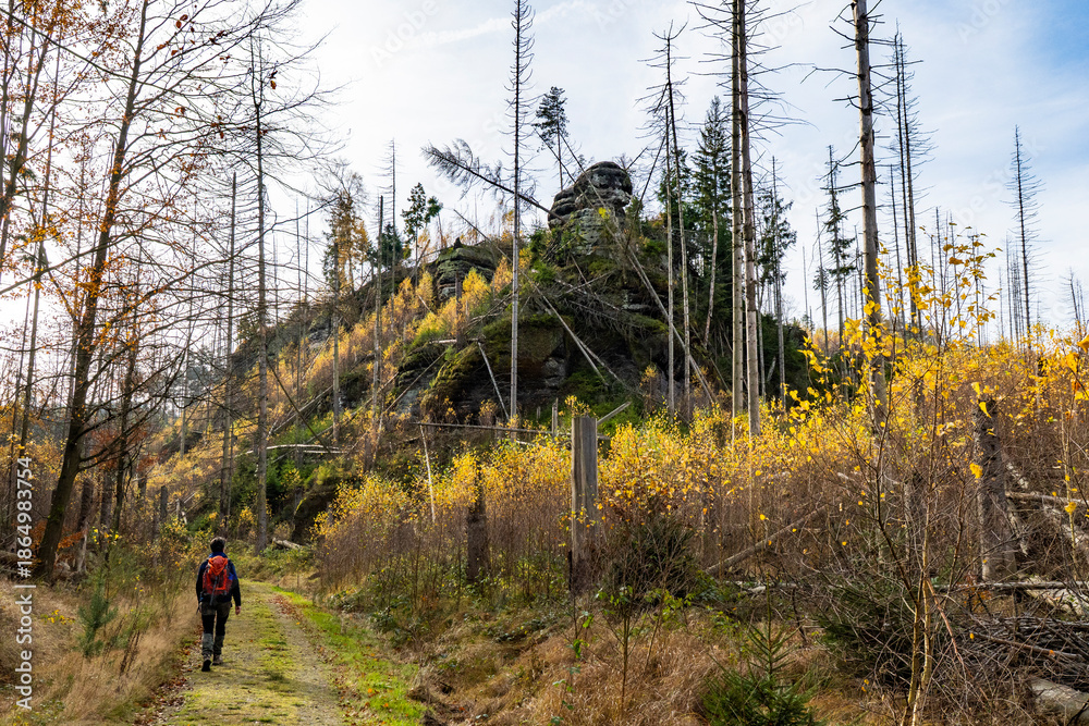 Fototapeta premium Wanderung im Herbst in der Sächsischen Schweiz mit Sandsteinfelsen