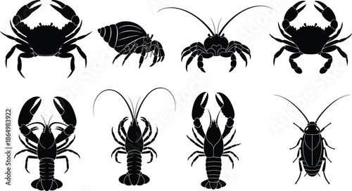 Crustacean Silhouette Vector Set with Crab Lobster Hermit Crab and Insect Shapes Isolated on White