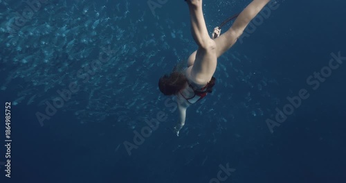 Wallpaper Mural Sexy woman freediver dive underwater in blue ocean with school of tuna fish Torontodigital.ca