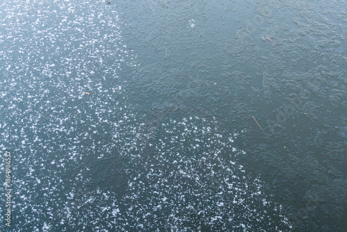 Snow on a frozen canal