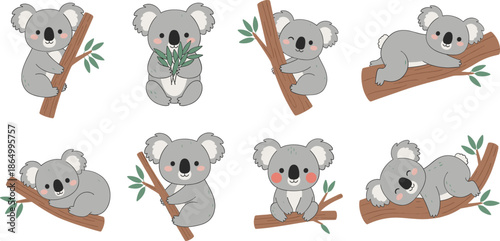 Cute Koala Cartoon Character Set with Sitting Sleeping and Climbing on Tree Branch Poses Vector Illustration