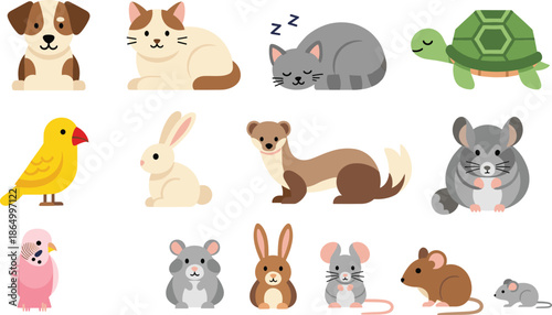 Cute Pet and Small Animal Cartoon Set Including Dog Cat Rabbit Turtle Mouse and Birds Vector Illustration