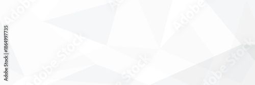 Clean white and light gray abstract geometric background with faceted polygonal shapes abstract white Geometric banner design background