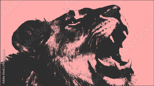 Lion roaring in a bold graphic style. Black and pink colors create a modern vector illustration that emphasizes the fierce expression of the animal.