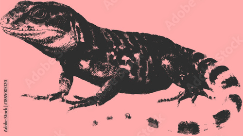 Lizard, a vintage reptile illustration drawn in black and white. Scientific vector illustration showcasing the anatomy of this exotic creature.