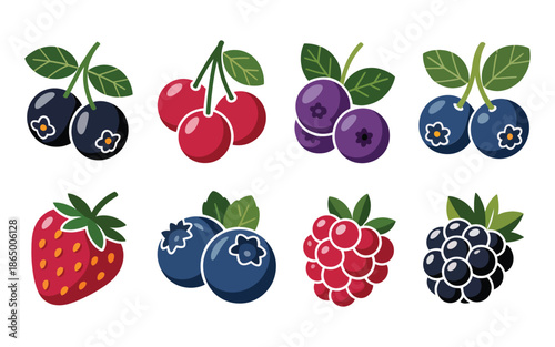Summer berries vector collection, strawberry blueberry raspberry blackberry cherry icons, farmers market signage, baking recipe graphics, garden harvest celebration illustration