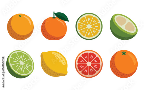 Citrus fruit slices, lemon lime orange grapefruit, summer farmers market, juice festival labels, tropical food icons, bright vector illustration