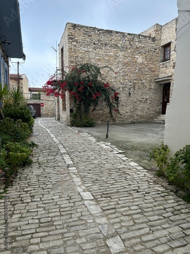 pięknie kwitnąca roślina pnąca się po kamiennej ścianie budynku