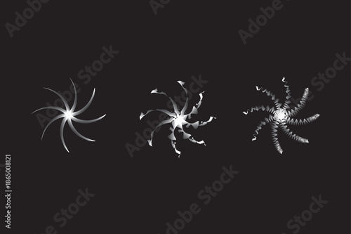 Evolution of abstract spiral forms a visual progression from simplicity to intricate detail