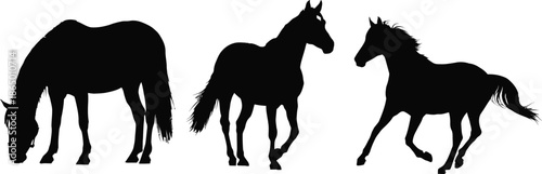 Black Horse Silhouettes 