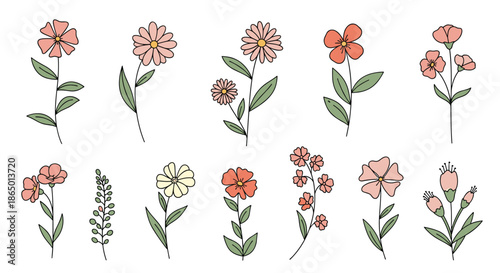 Wide collection of various hand-drawn floral stems and branches featuring simple line work and soft pastel colors for a natural look.