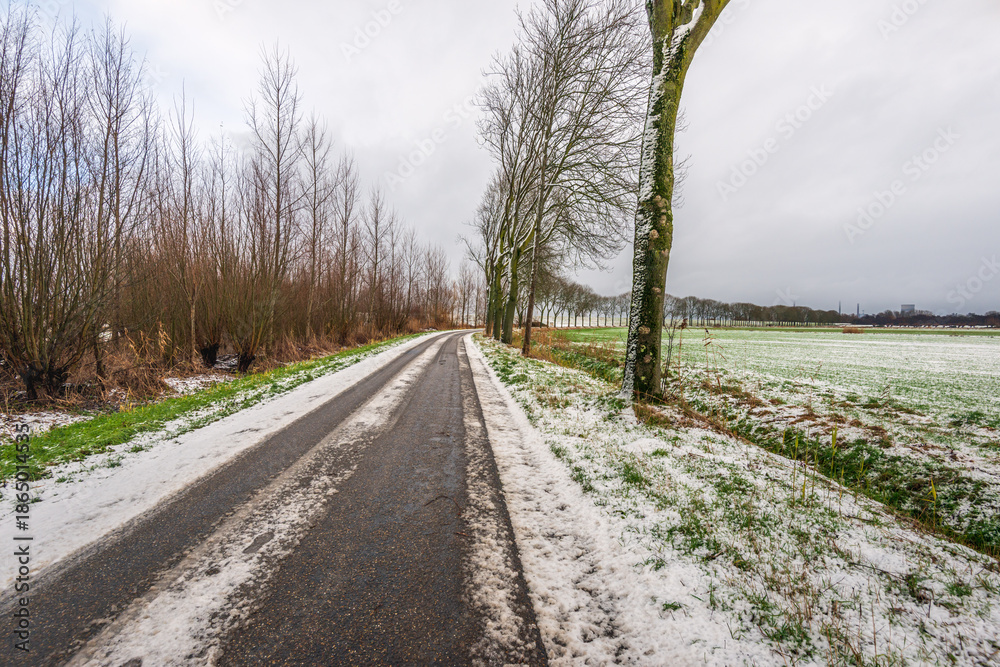 Fototapeta premium Agricultural landscape in winter. It has just snowed, and car tracks are visible on the country road. The photo was taken on a cloudy day in January.