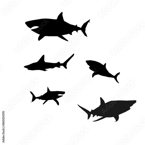 vector silhouette of a fish