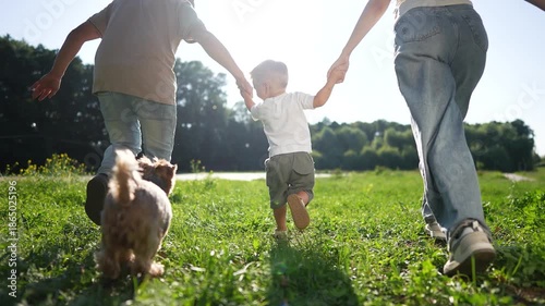 A boy holds hands with a man and a woman while run across the grassy field. family run. the dog follows the boy, the man, and the woman enthusiastically in the bright sunlight.