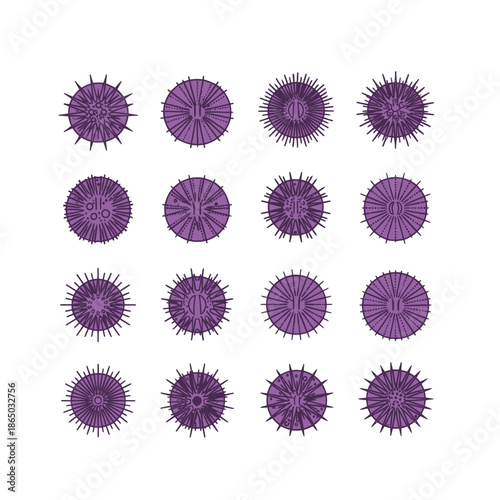 Collection of Purple Spiky Spheres - A Microscopic View of Viruses.