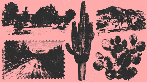Desert cactus and trees landscape in a vintage style. Black silhouette vector illustration featuring nature scenes in a textured design set.