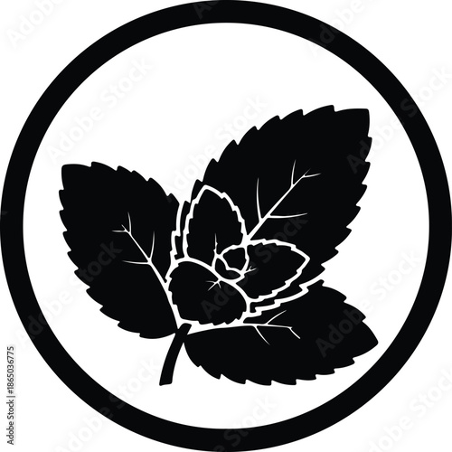 Silhouette Fresh Mint Leaves Herb Graphic Symbol Circle Vector Illustration