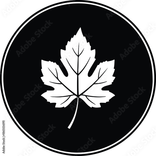 Silhouette Grape Leaf Vine Icon Symbol in Black and White Round Frame Vector Illustration