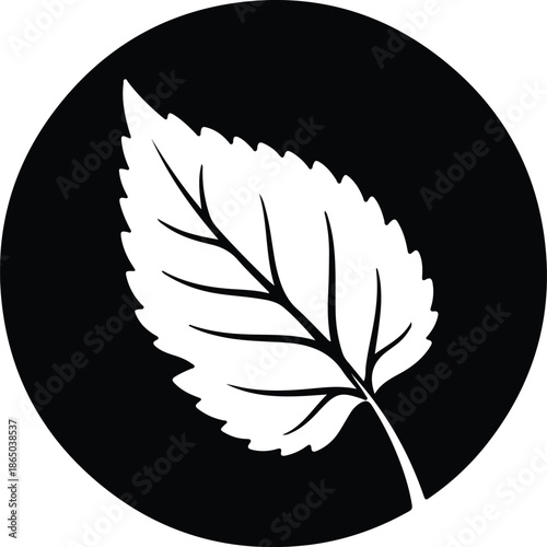Silhouette Simple Minimalist Botanical Leaf Design Element Vector Illustration