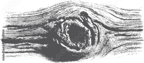 Wood grain texture in black and white. Detailed vector illustration showcasing unique and artistic representations of natural wood patterns.