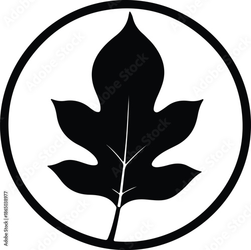 Silhouette stylized organic fig leaf in circular frame modern icon Vector Illustration