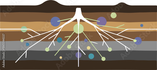 Underground Root System Diagram