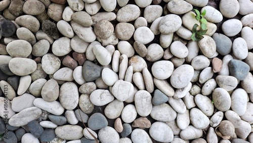 Bilde på lerret pebbles on the beach