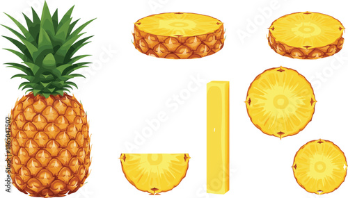 Pineapple fruit collection vector illustration with whole sliced rings wedges and pieces isolated on white background for food design