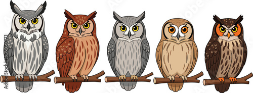 Set of Cute Cartoon Owls Sitting on Branches, Colorful Forest Bird Characters Vector Illustration Isolated on White