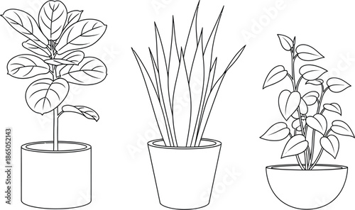 Collection of three distinct potted houseplant line art illustrations featuring a large leaf variety a tall slender variety and a cascading vine perfect for coloring books or botanical design projects
