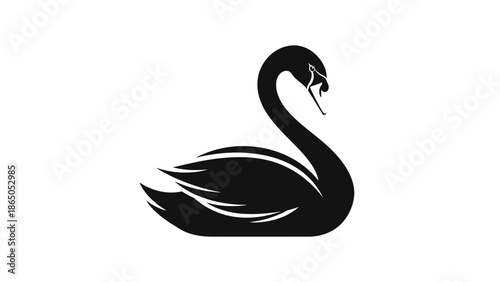 Elegant Black Swan Bird Swimming Silhouette on Isolated White Background