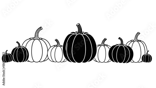 Diverse Row of Pumpkins in Various Sizes, Autumn Harvest Decoration or Border Design Isolated White Background