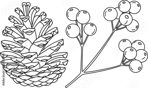 Simple black and white outline illustration featuring a detailed pine cone alongside a delicate branch cluster of round berries suitable for coloring pages or nature themed artistic design projects.