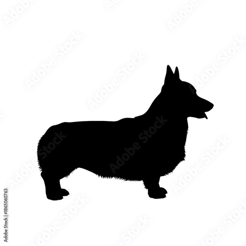 Silhouette of a Corgi Dog Standing in Profile.