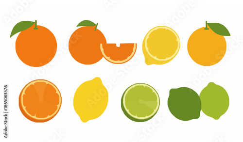 Citrus fruit vector set with oranges lemons grapefruits and limes isolated on white background
