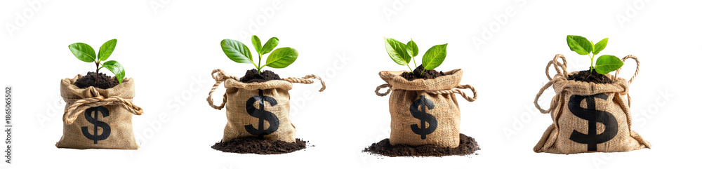 Fototapeta premium Four small plants growing from money bags made of burlap symbolizing financial growth on transparent background