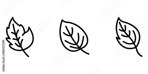 leaf outline or line icon design bundle.