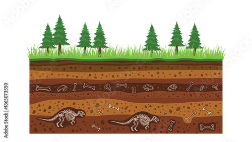 Detailed cross-section illustration of various geological layers of the earth, showcasing ancient dinosaur fossils and bones buried beneath a vibrant green landscape with pine trees.