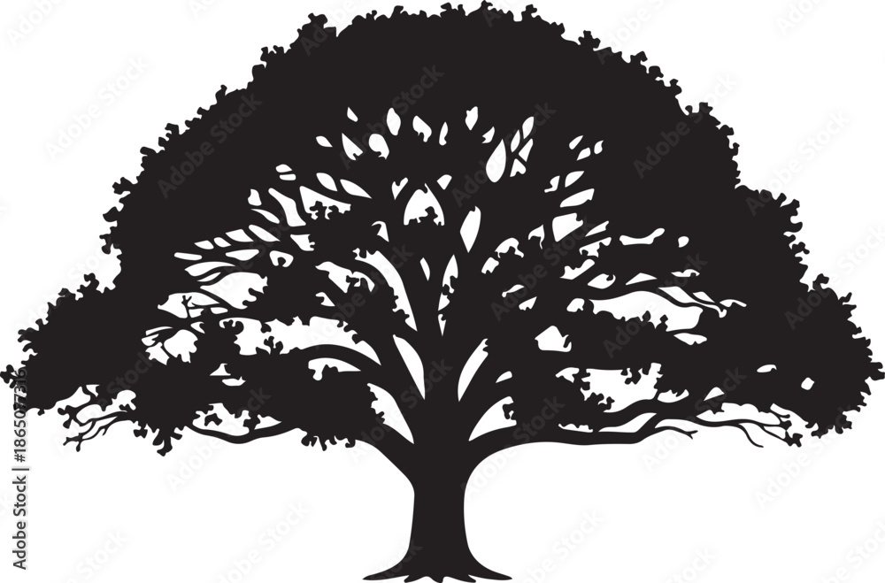 Fototapeta premium Silhouette of a tree