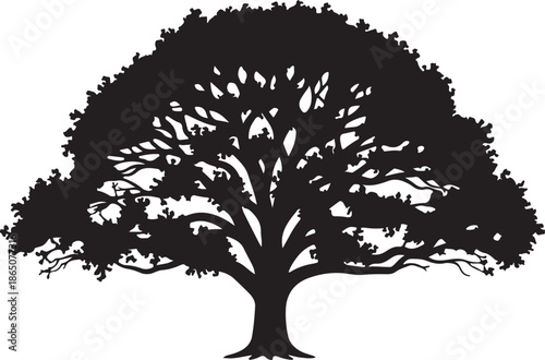 Silhouette of a tree