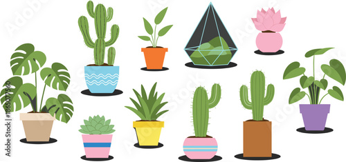 Set of Flat Vector Houseplant Illustrations Featuring Monstera Cactus and Succulents in Colorful Ceramic Pots and Glass Terrarium for Interior Home Decor
