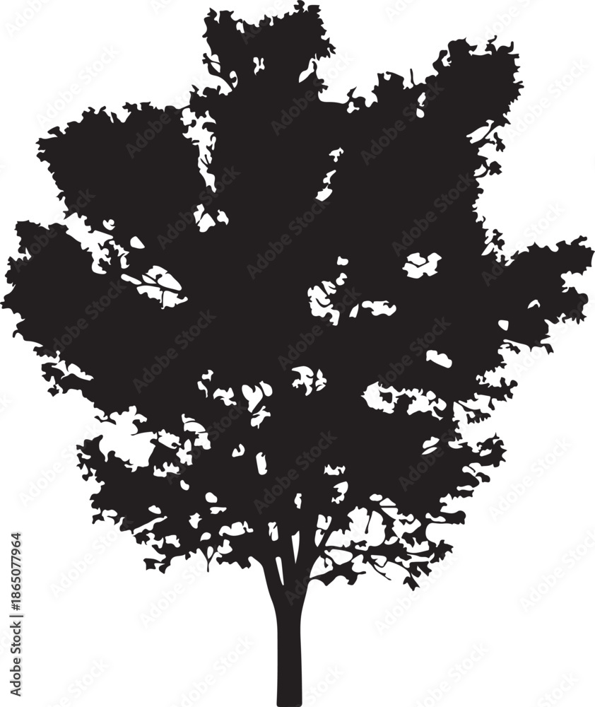Fototapeta premium tree Page illustration